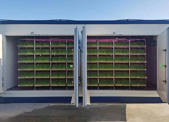 吉林春光集團(tuán)牧草工廠